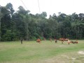Tn DSC 6425